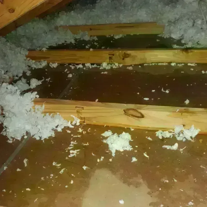 Attic Water Damage in Lake City, AR