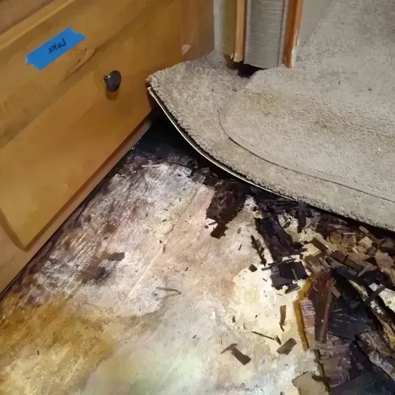 Wood Floor Water Damage in Lake City, AR